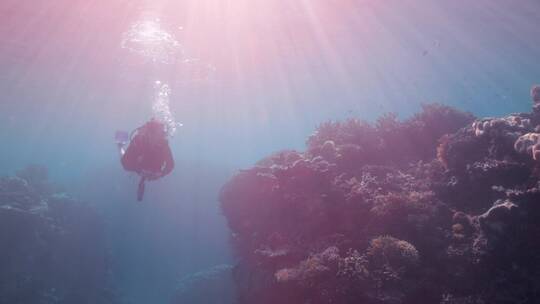 潜水员在海洋暗礁潜水