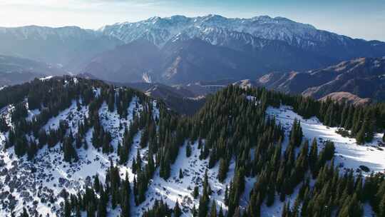 航拍冬季雪山森林