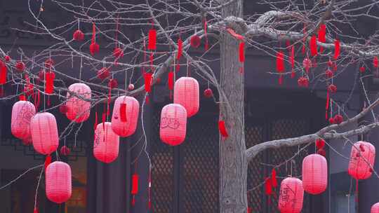 杭州西湖钱王祠新年祈福红灯笼