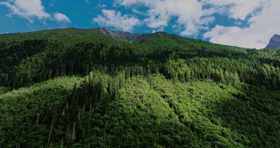 川西四姑娘山山谷雪山河流大气唯美航拍风光