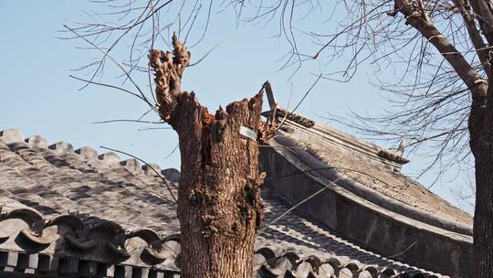 北京四合院胡同冬日街景视频素材模板下载