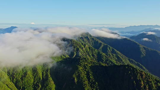 清晨鸟瞰山顶上流动的云雾