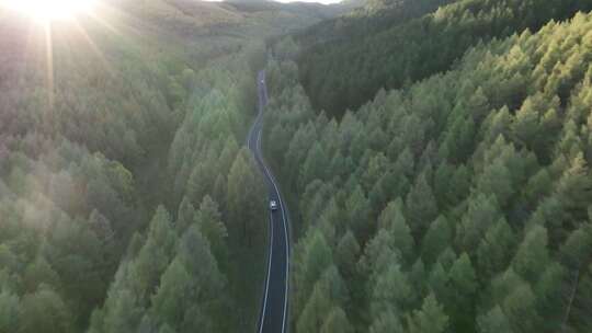 森林公路  航拍开车 航拍 山林驾驶汽车 4k