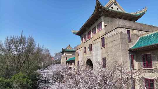 武汉大学樱花与老斋舍
