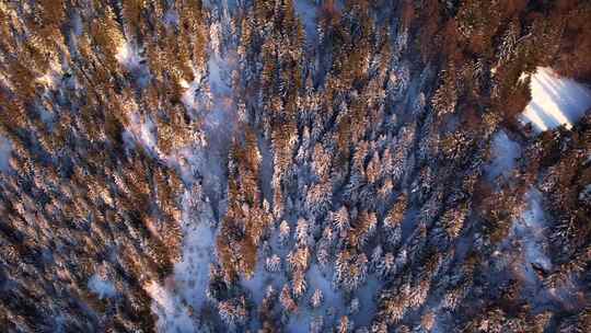 FPV无人机航拍雪山白雪森林山脉高山阳光