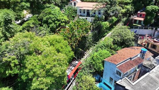 著名的Corcovado火车在大西洋森林