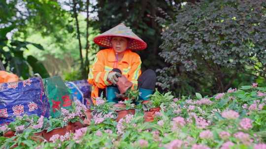 公园种植花朵