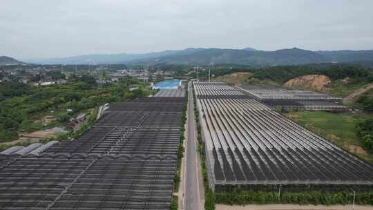 现代农业大棚种植基地航拍