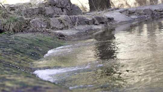 沕沕水五龙谭 溪水 水流 自然景观