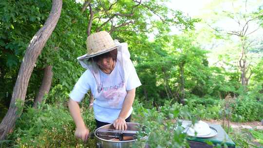 蜜蜂 养蜂人