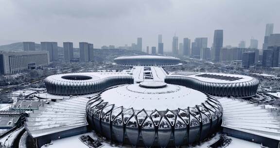 济南龙奥大厦奥体雪景