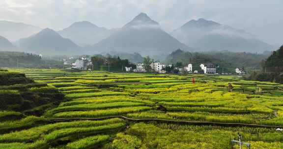 山间 大山 阳光 清晨 晨雾 梯田