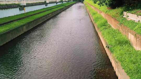 流动的水渠 一河两岸 风景 绿化 城中河