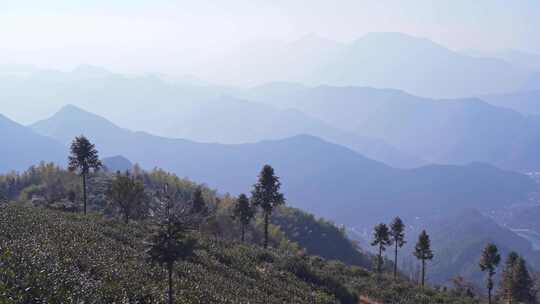 山顶俯视群山风景