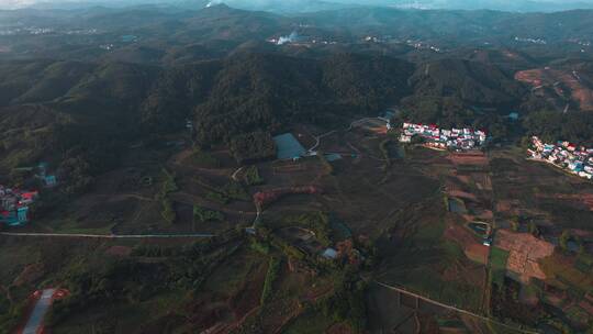 广西山村金桔种植区全景