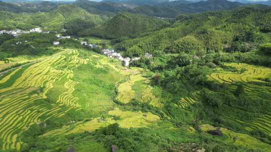 江西上饶绿意盎然的山村梯田风景