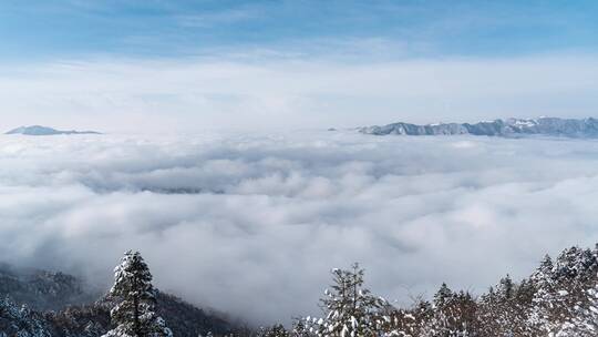 湖北神农架冬季雪山山谷云海翻涌白天多云