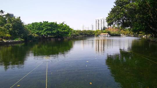 城市风光交通车辆道路桥梁高楼建筑自然景区