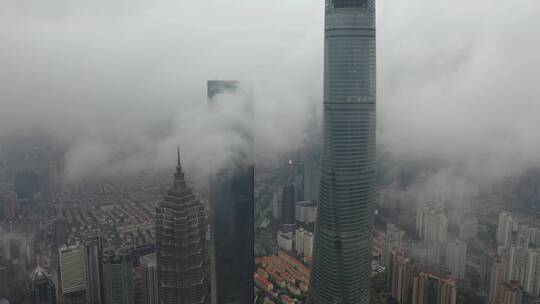 上海 浦东 写字楼 陆家嘴视频素材模板下载