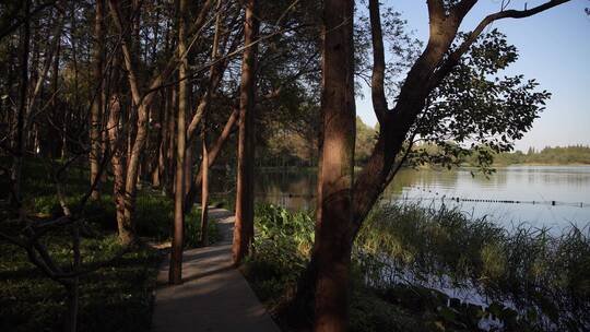 杭州西湖十景茅家埠水乡风景