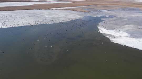 青海青海湖湖面湖水冰面航拍视频