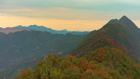 秦岭森林秋色