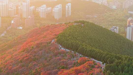 4k航拍山东济南蝎子山秋景