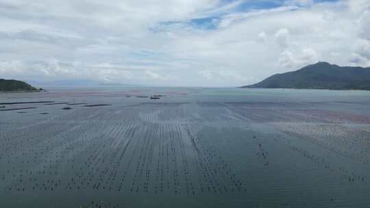 汕头南澳岛海水养殖基地海洋牧场