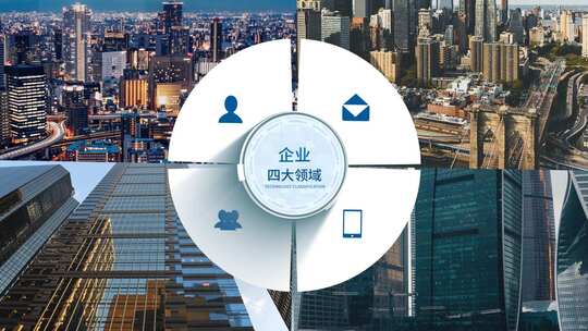 无插件-4大企业信息架构分类