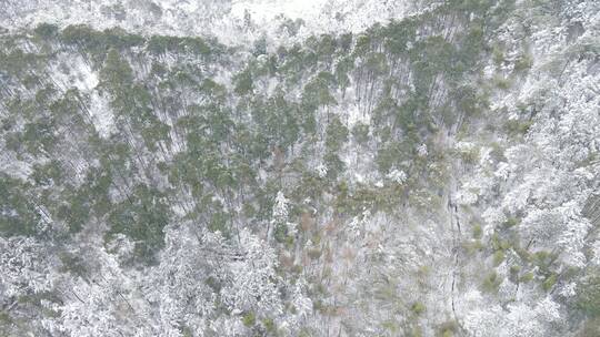 旅游景区航拍怀化黄岩冬天森林雪景