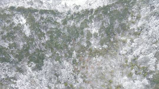 旅游景区航拍怀化黄岩冬天森林雪景视频素材模板下载