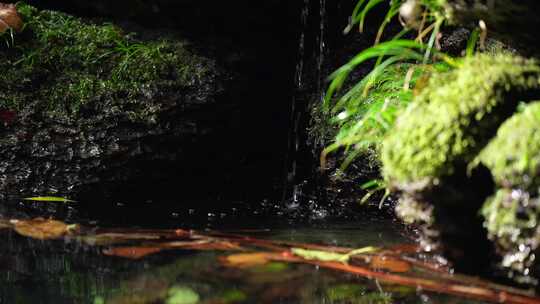 湖北利川毛坝星斗山河谷溪水潺潺