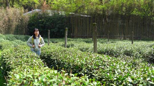 春天年轻阳光活力女孩郊游公园穿越生态茶园