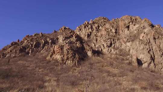 荒山 枯树枝 草地 寒冷