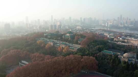 航拍武汉大学秋色校园鸟瞰全景