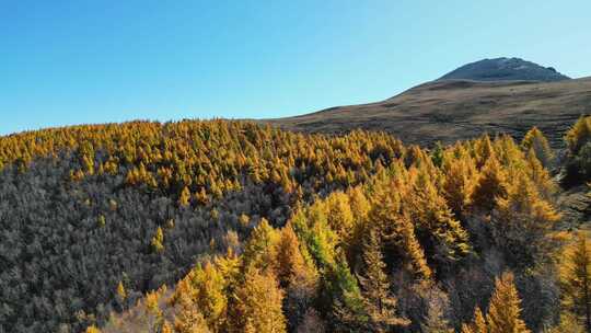 秋天山景 秋景 秋色 秋游