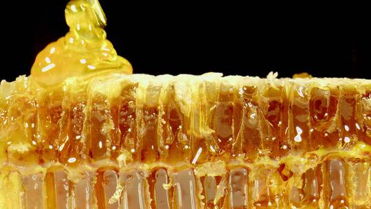 蜂蜜 蜜 甜食 天然 食品 美食