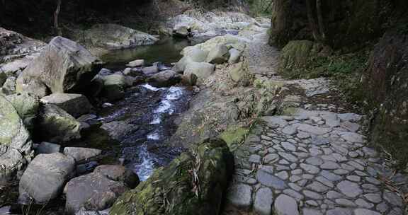 森林山涧山泉水溪流 浙东小九寨