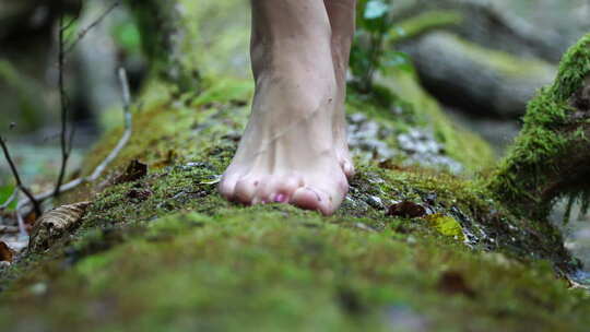女性脚踩在森林布满苔藓的树干上视频素材模板下载