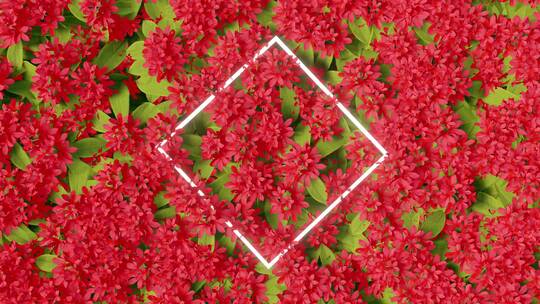 5组动态花朵背景 几何发光素材 4K视频素材模板下载