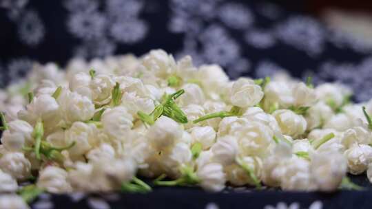 升格慢动作微距特写茉莉花与茉莉花茶制作