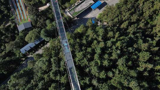 南宁高峰公园森林玻璃栈道高清航拍视频素材模板下载