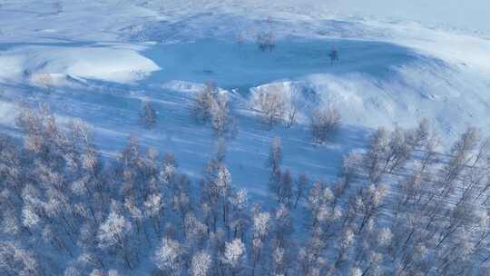 冰雪覆盖的树林和大地的壮观景象