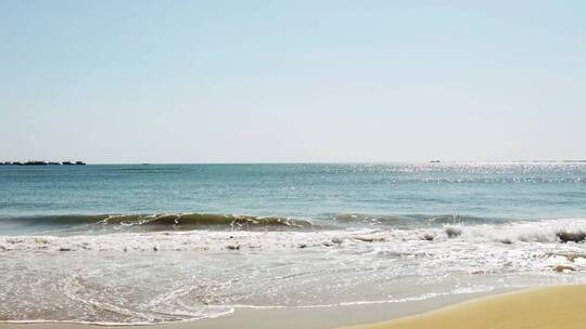 海边海花海浪