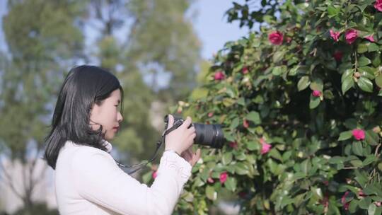 公园拍照的女摄影师视频素材模板下载