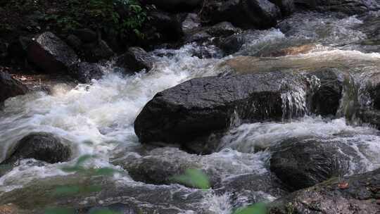 森林中 山泉小溪水