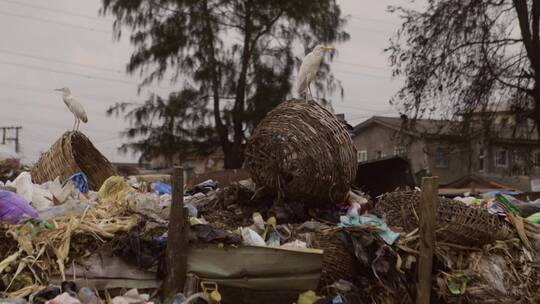 尼日利亚垃圾堆视频素材模板下载