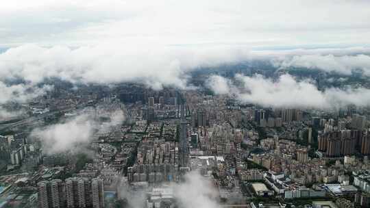 深圳龙岗区龙华区平流雾云海