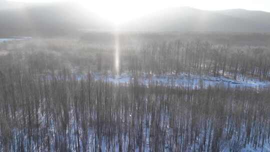 航拍冬季森林太阳雪