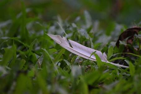 欢快 旅行 静谧的道路 道路 静谧 宁